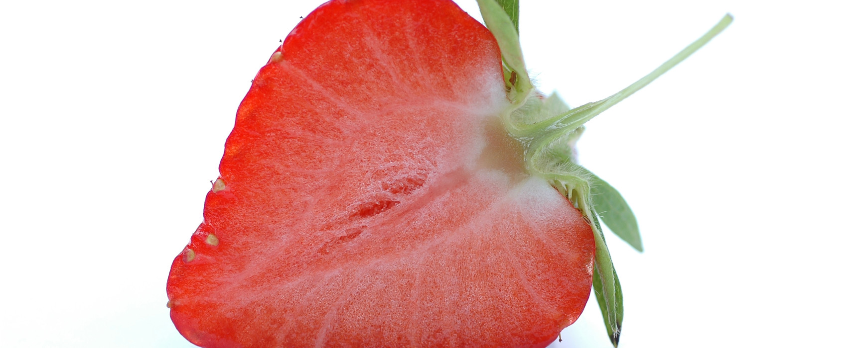 Che gusto hanno le lacrime? Secondo Nicola Savino sanno di fragola!