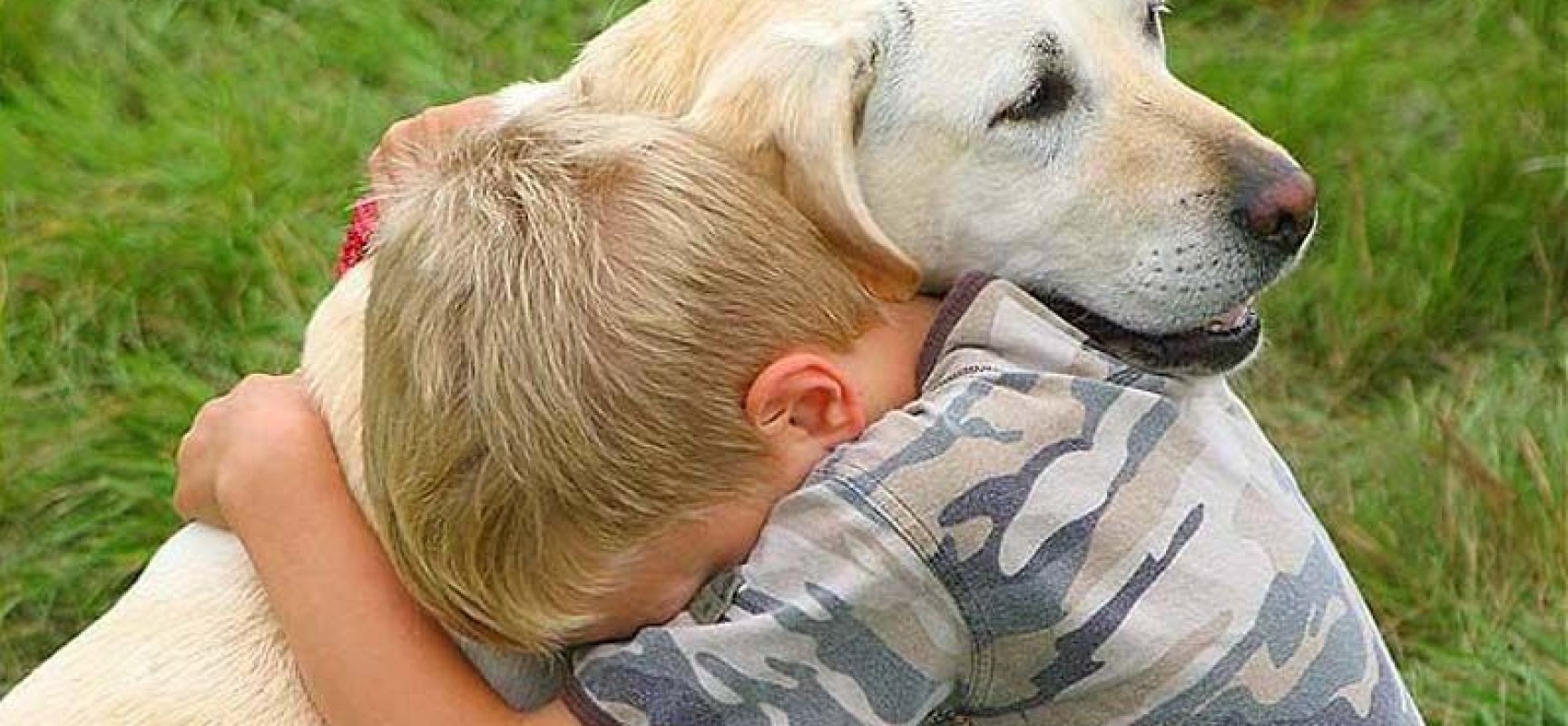 Personaggi del bene: E’ soltanto un cane