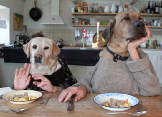 Vedere il mondo con gli occhi di un cane