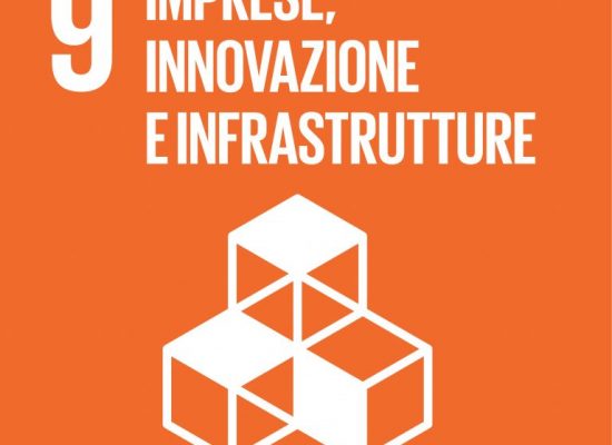 Libri in Agenda: obbiettivo 9, industria, innovazione e infrastrutture