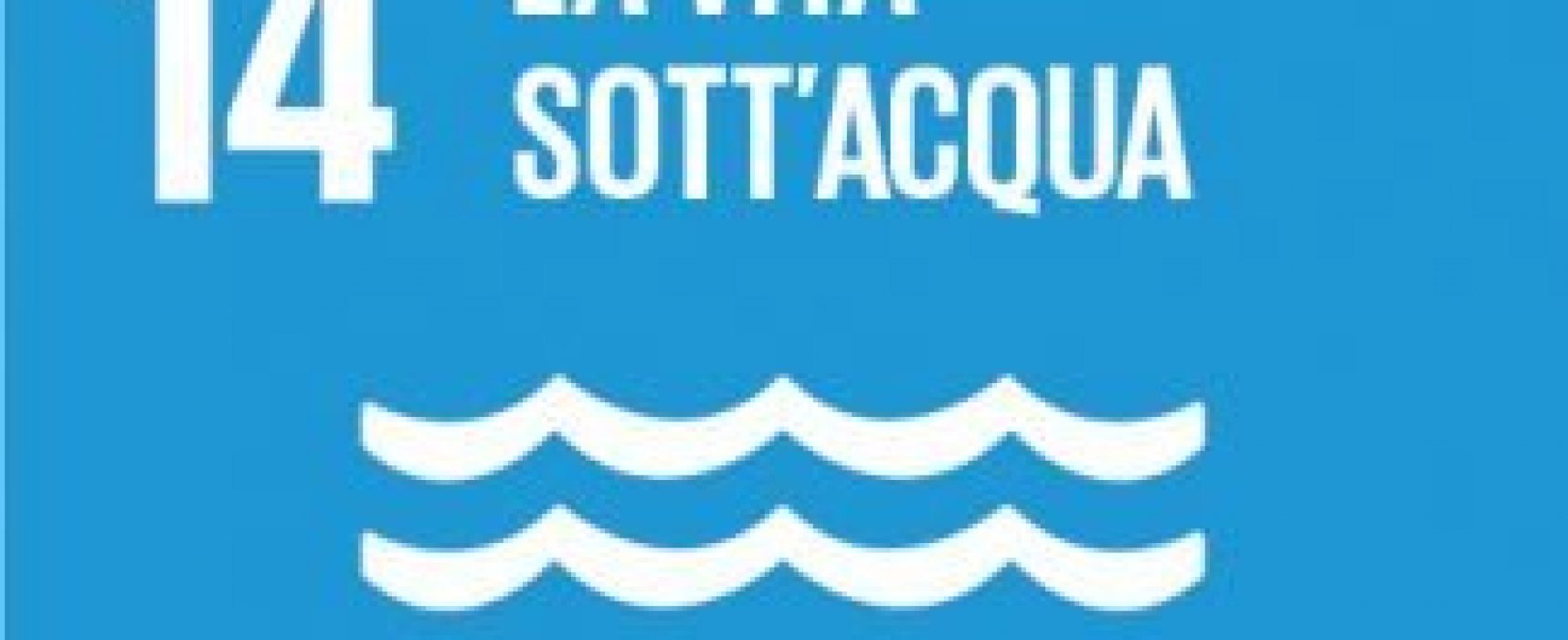 Libri in agenda: obiettivo 14, la vita sotto’acqua