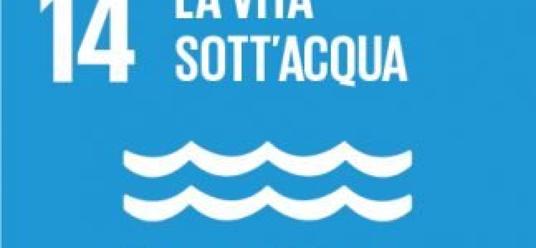 Libri in agenda: obiettivo 14, la vita sotto’acqua